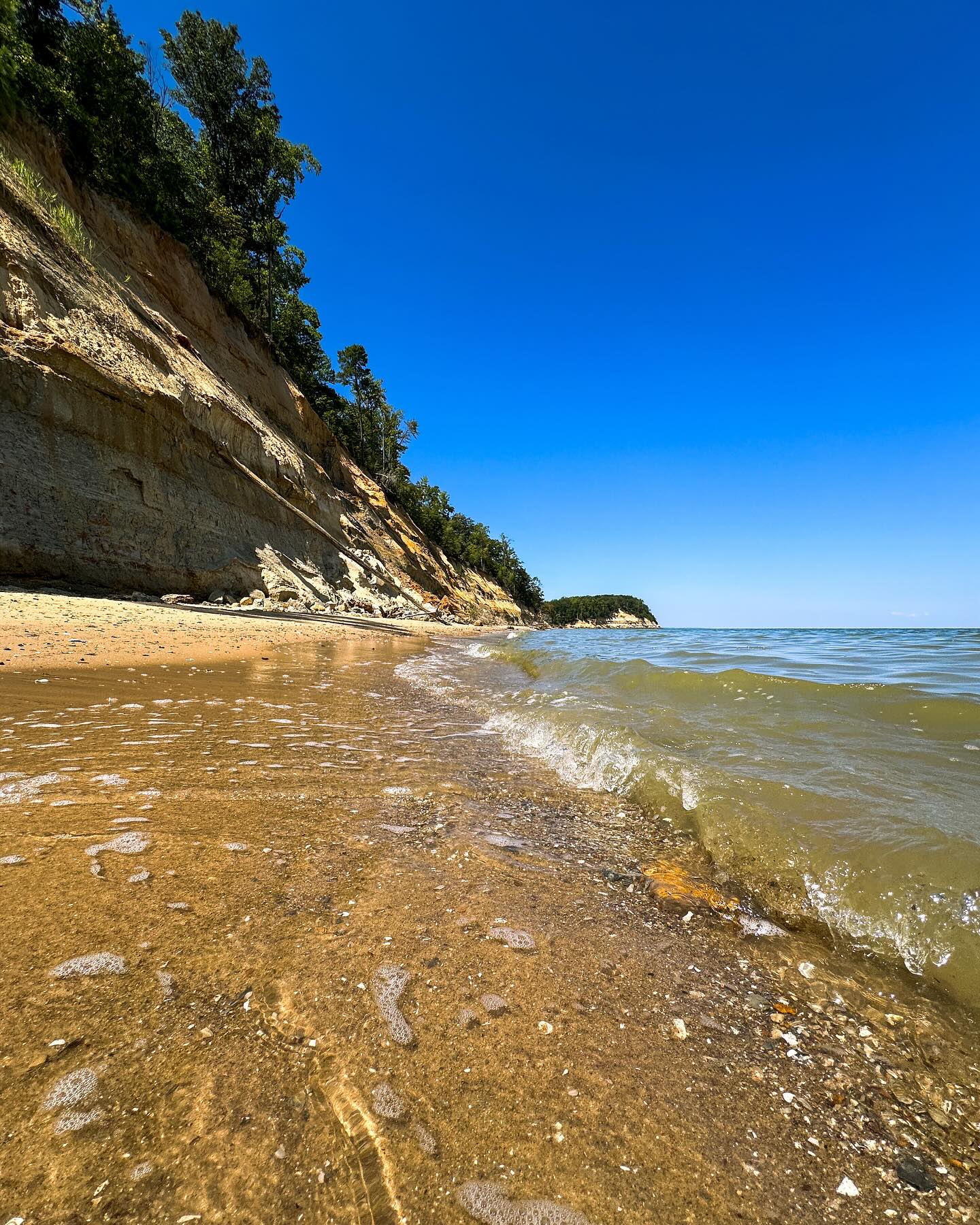 Calvert Cliffs