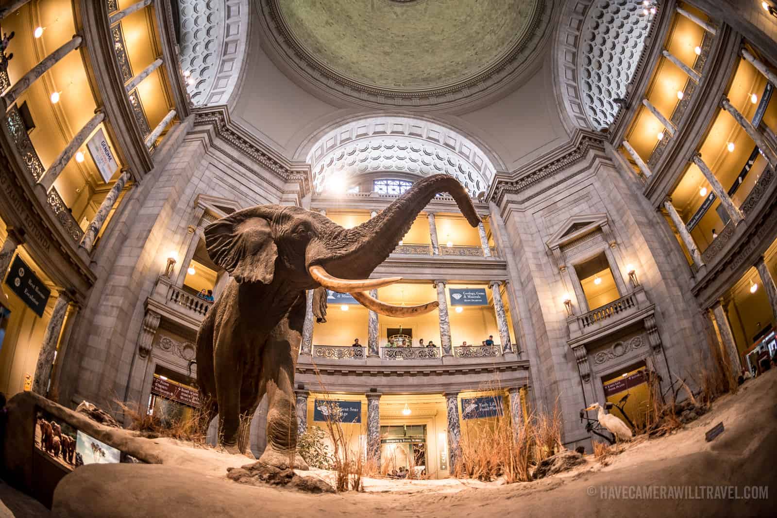 Visit Washington D.C.