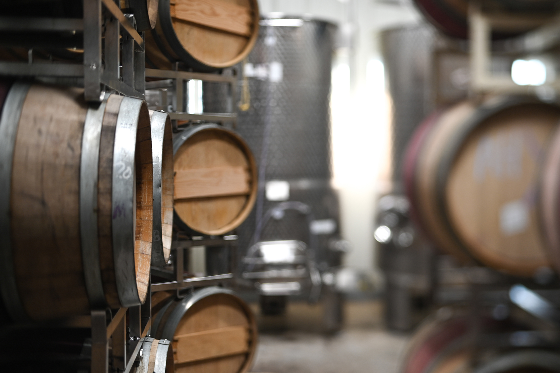 Great Frogs Winery